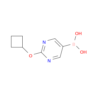 (2-Cyclobutoxypyrimidin-5-yl)boronic acid
