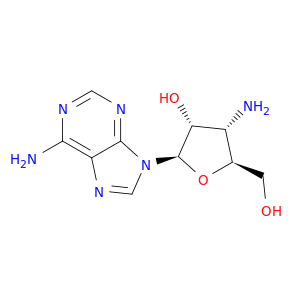 2504-55-4