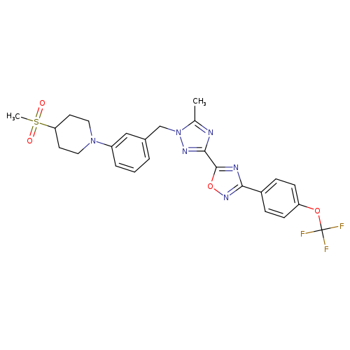 1570496-34-2